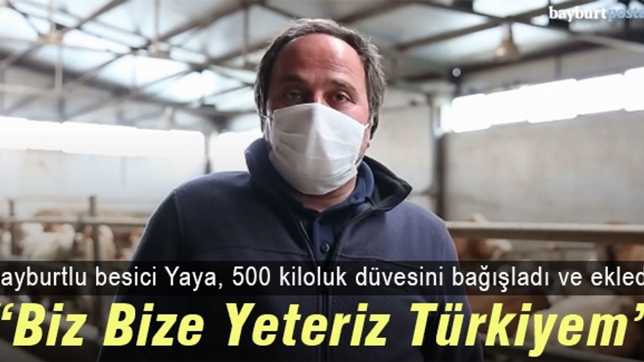 Yaya'dan 'Milli Dayanışma Kampanyası'na 500 kiloluk düve