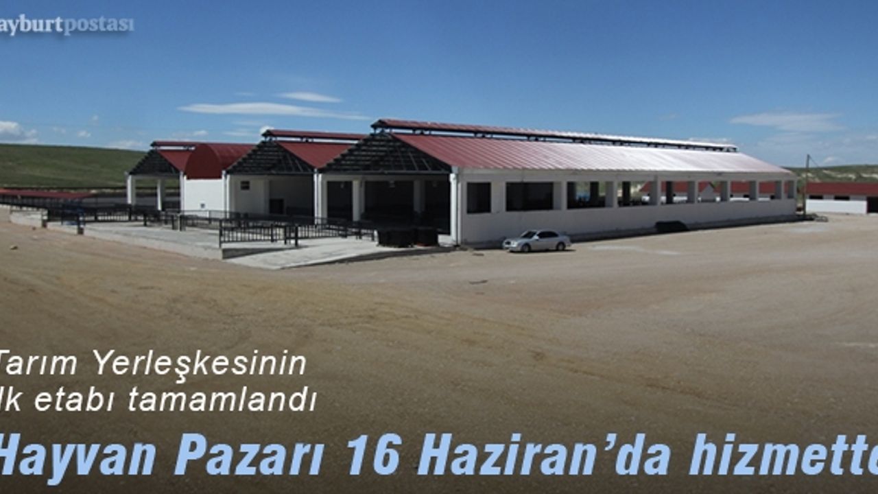 Modern Hayvan Pazarı Açılış İçin Gün Sayıyor