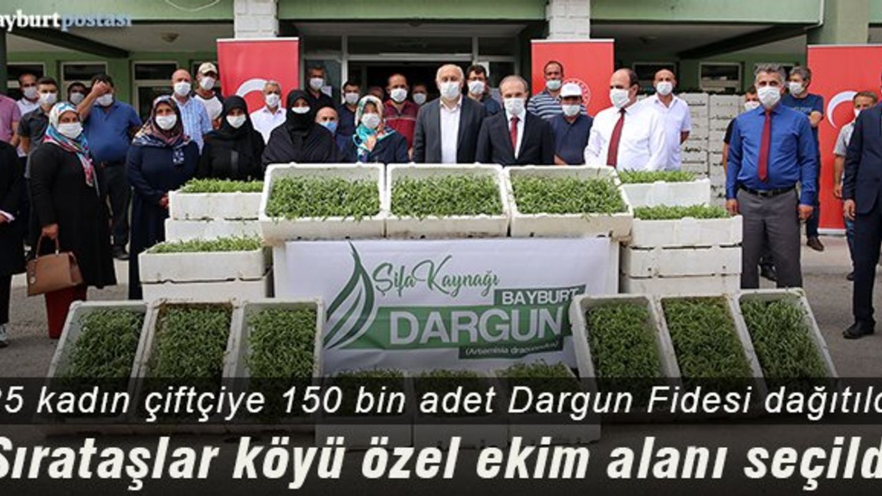 Bayburt'ta 25 kadın çiftçiye 150 bin Dargun Fidesi dağıtıldı