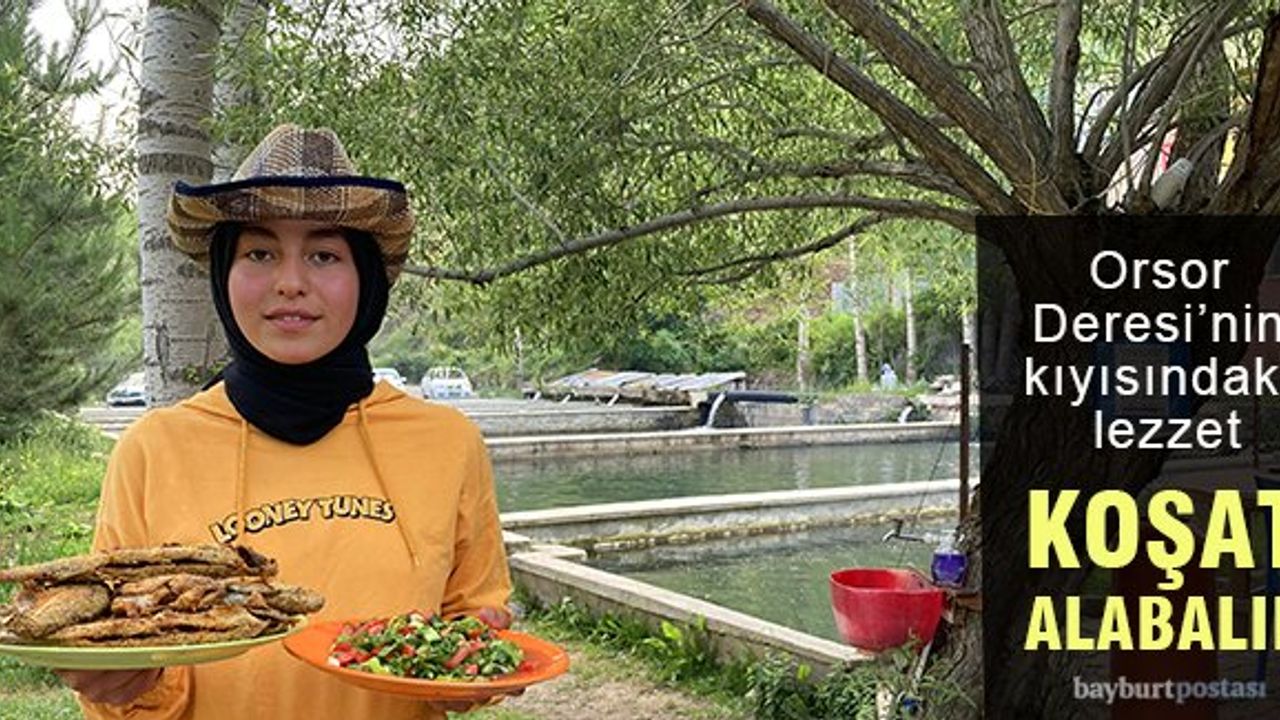 Orsor Deresi'nin kıyısındaki lezzet: Koşat Alabalık