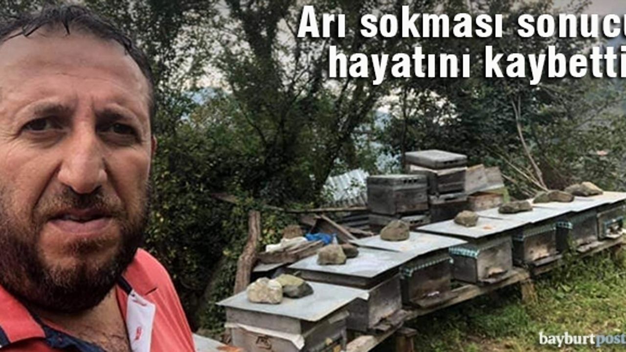 Bal üreticisi arı sokması sonucu hayatını kaybetti