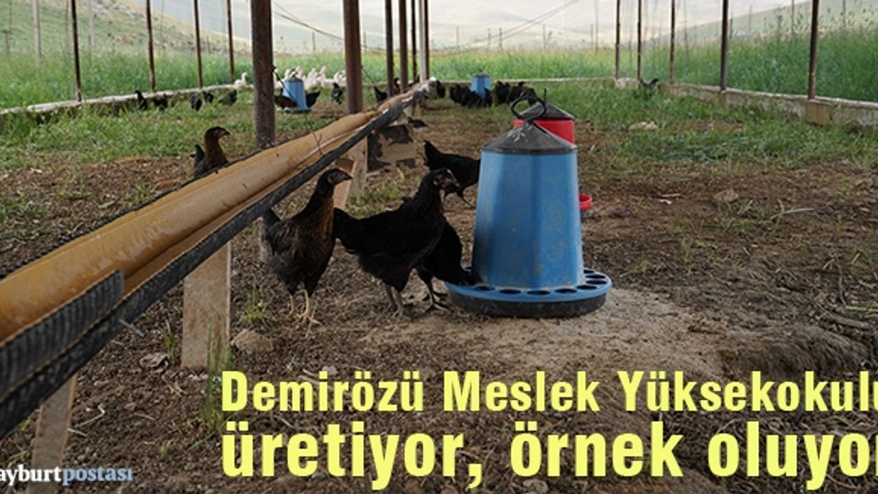 Demirözü Meslek Yüksekokulu, üretiyor, örnek oluyor