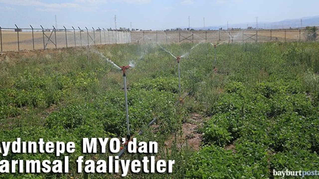 Bayburt Üniversitesi Tarımsal Faaliyetlerine Devam Ediyor