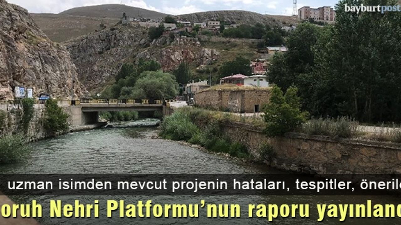 Çoruh Nehri Platformu'nun raporu yayınlandı