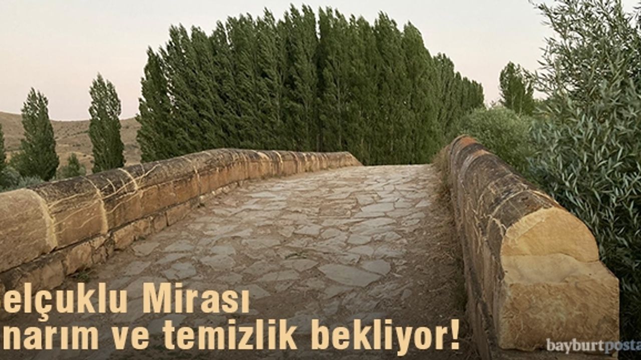 Selçuklu Mirası onarım ve temizlik bekliyor!
