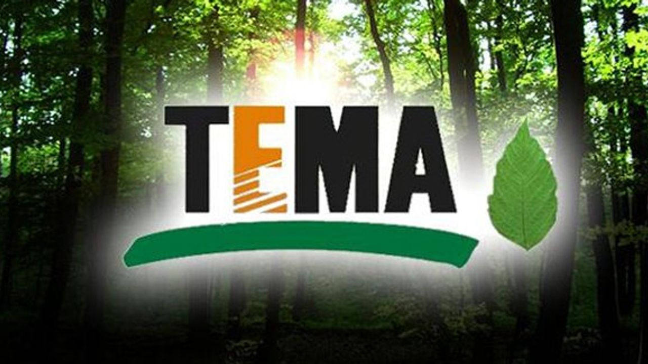 TEMA Vakfı Demirözü ilçesinde gönüllü arıyor