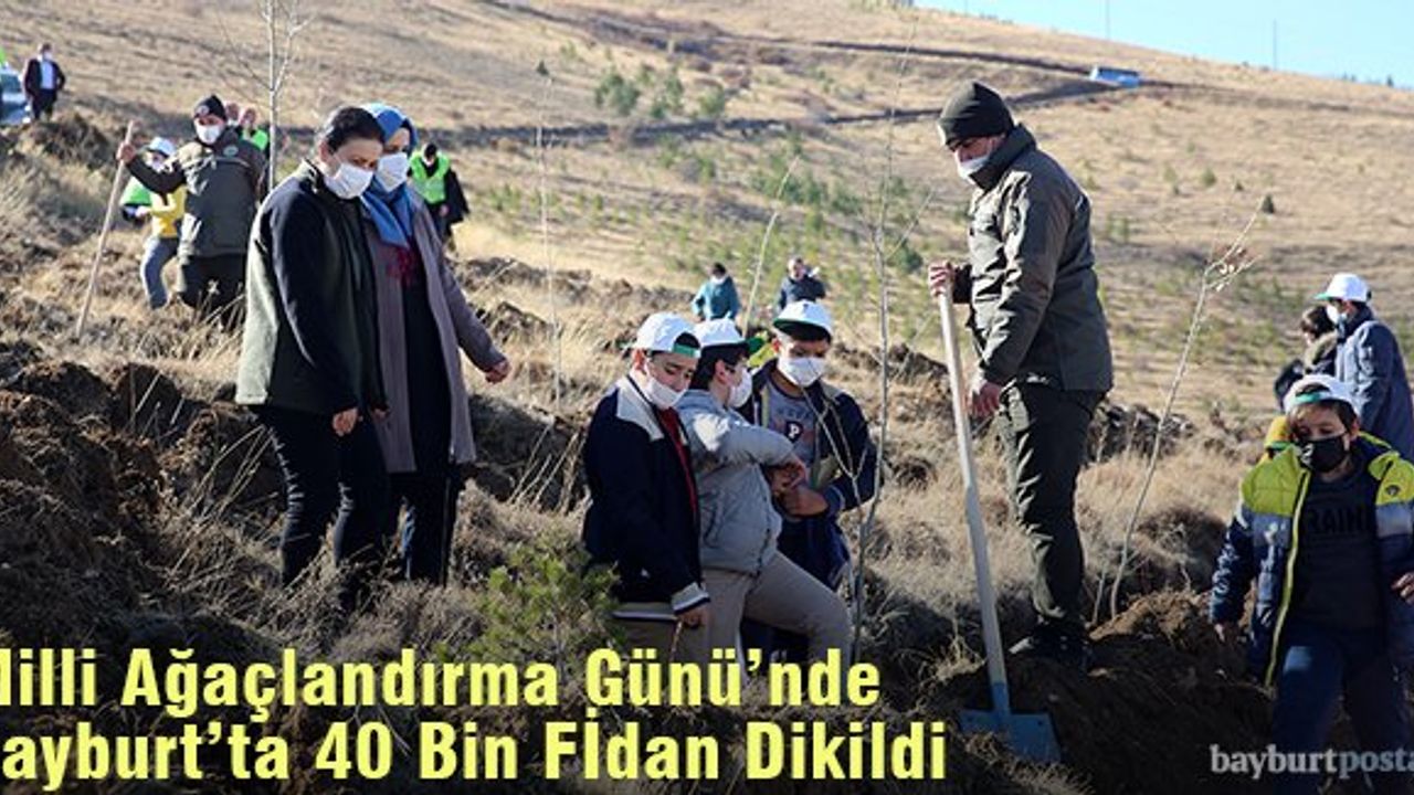 Milli Ağaçlandırma Günü’nde Bayburt’ta 40 Bin Fidan Dikildi
