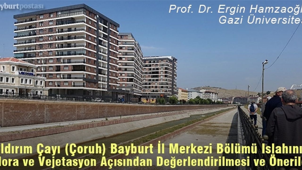YILDIRIM ÇAYI (ÇORUH) BAYBURT İL MERKEZİ BÖLÜMÜ ISLAHININ FLORA VE VEJETASYON AÇISINDAN DEĞERLENDİRİLMESİ VE ÖNERİLER
