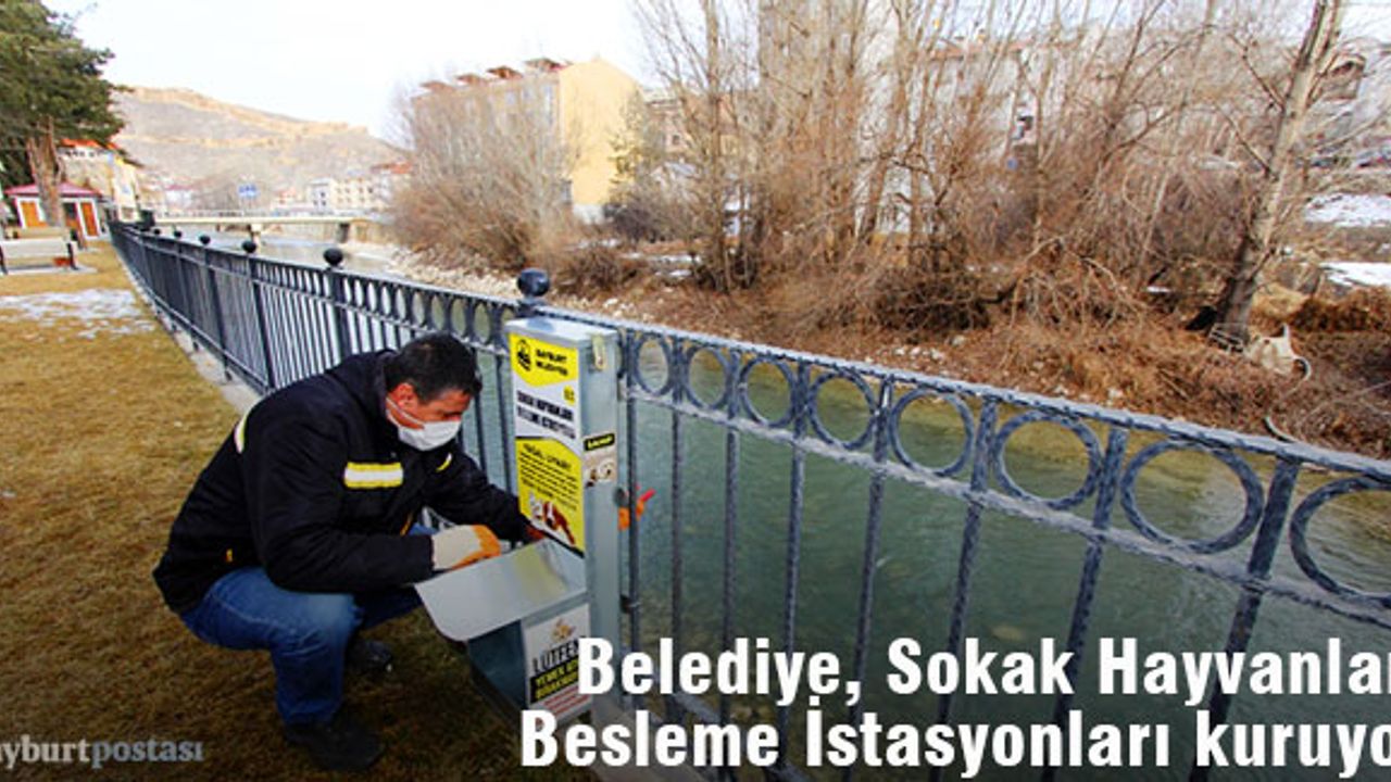 Bayburt Belediyesi, Sokak Hayvanları Besleme İstasyonları kuruyor
