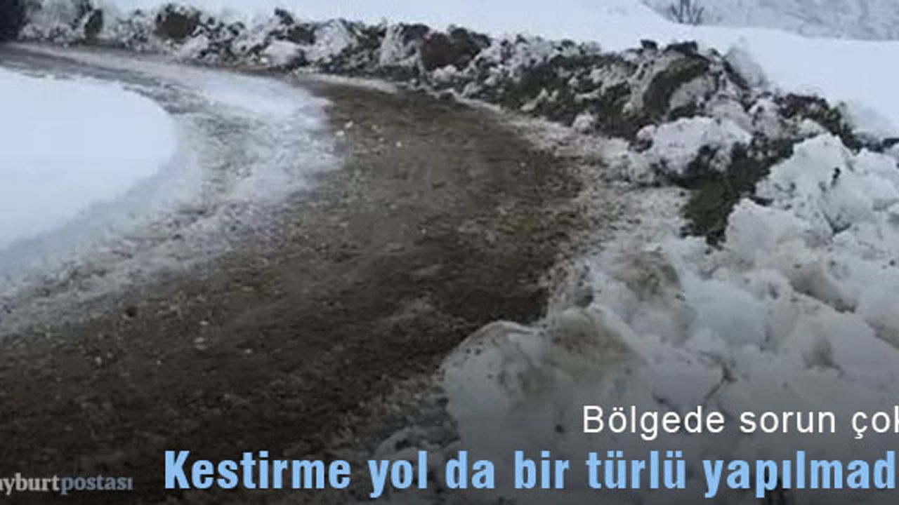 Her seçim sözü verildi ama yapılmadı!