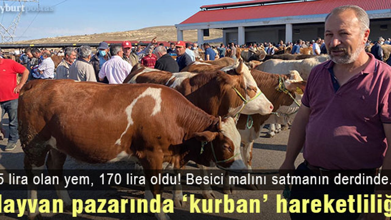 Bayburt Canlı Hayvan Pazarında "kurban" hareketliliği
