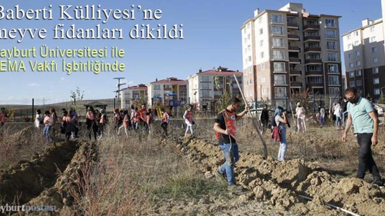 Baberti Külliyesi'ne meyve fidanları dikildi