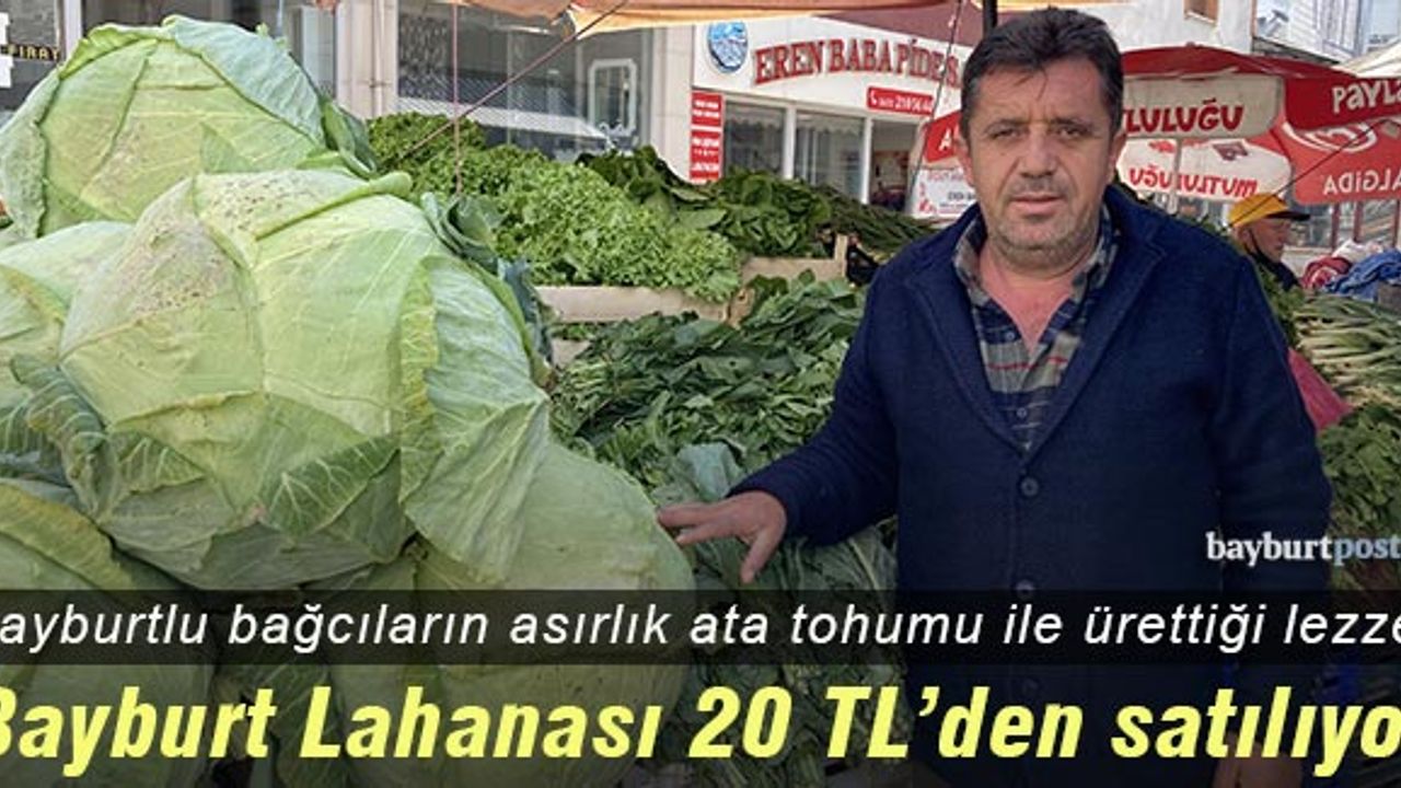 Asırlık ata tohumu ile üretilen 'Bayburt Lahanası' 20 TL'den satılıyor!