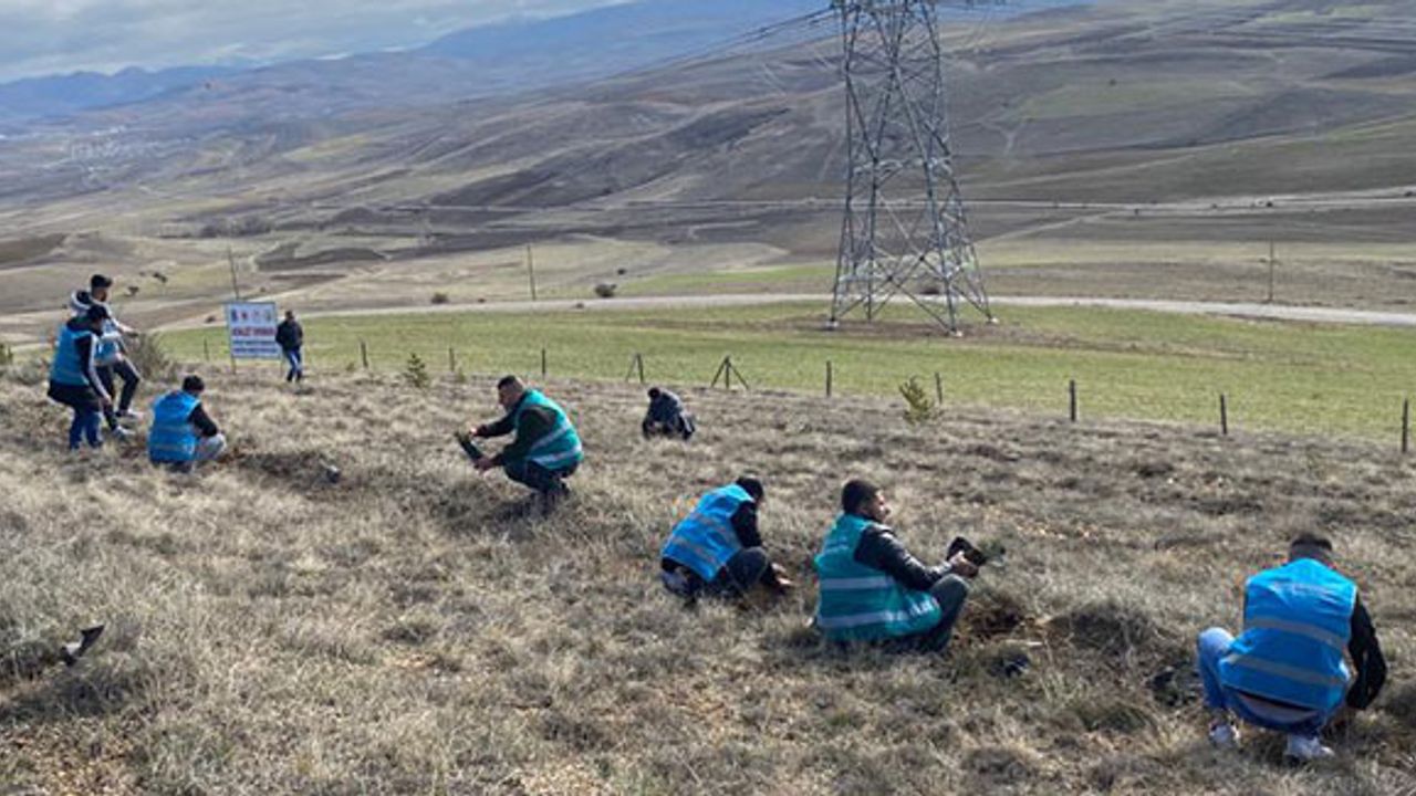 Bayburt Adalet Ormanı'na 600 Fidan Dikildi