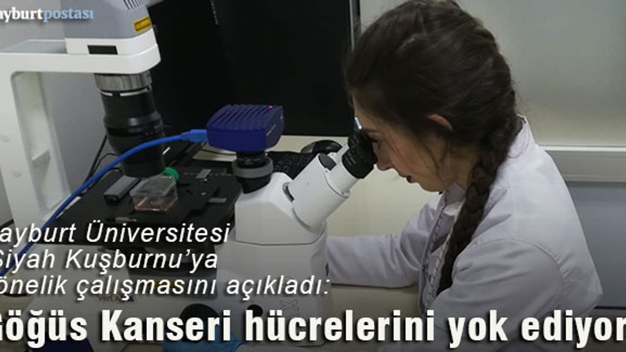 Bayburt Üniversitesi sonuçları açıkladı: “Siyah Kuşburnu” Kansere Karşı Etkili