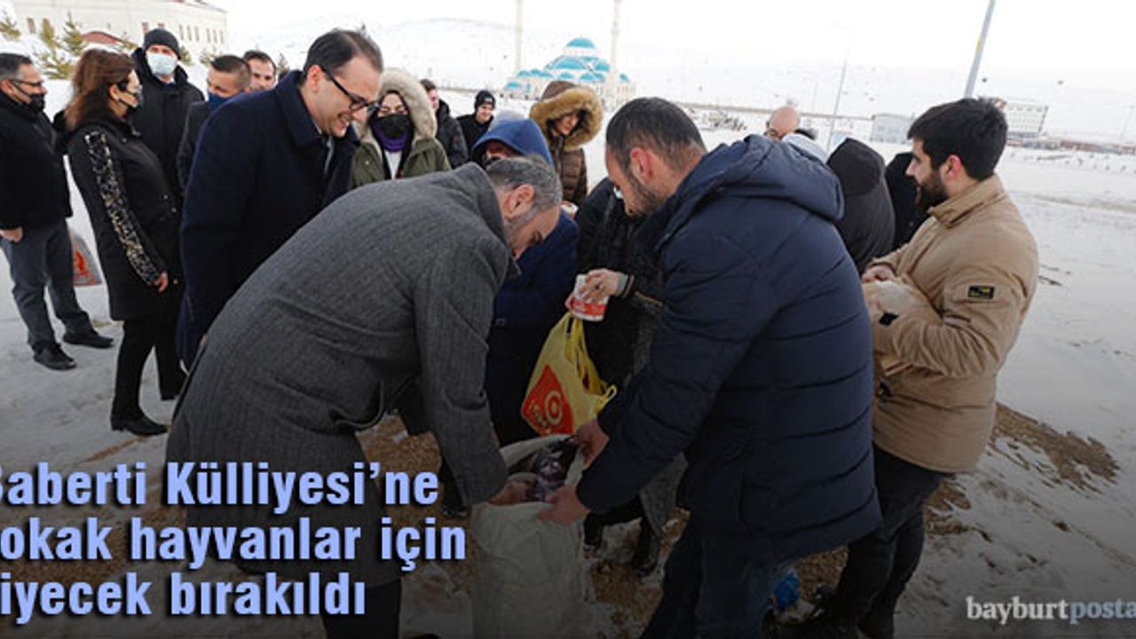 Bayburt Üniversitesi, sokak hayvanları için yiyecek bıraktı