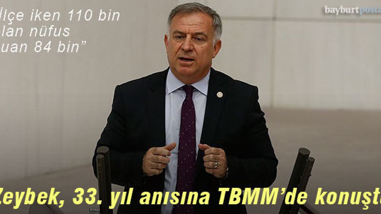Milletvekili Zeybek, 33. yılı anısına TBMM'de konuştu