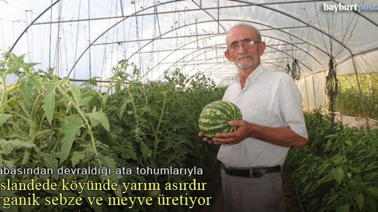 Aslandede köyünde yarım asırdır organik sebze üretiyor