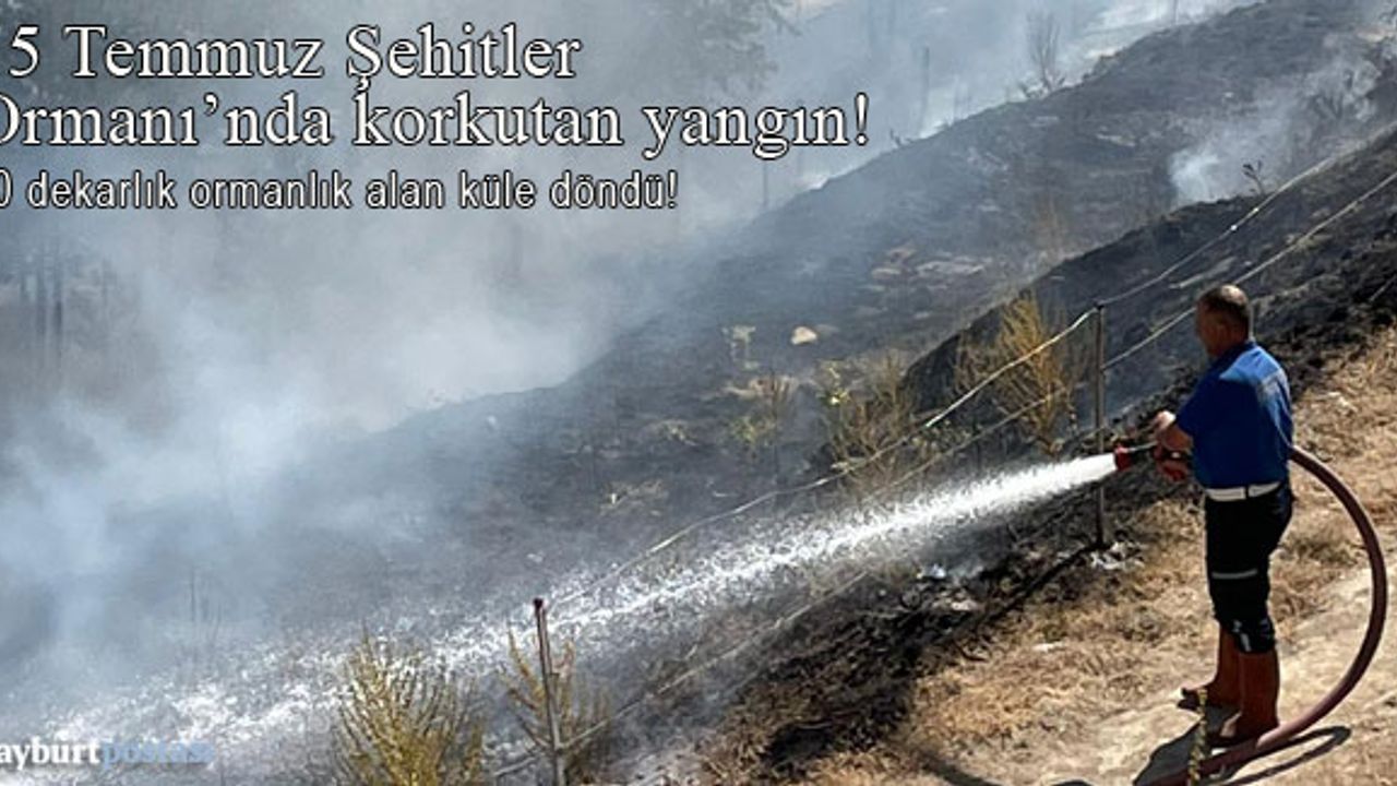 Bayburt 15 Temmuz Şehitler Ormanı'nda korkutan yangın!
