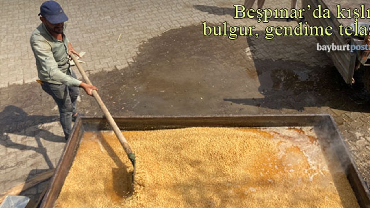 Beşpınar'da kışlık bulgur ve gendime telaşı