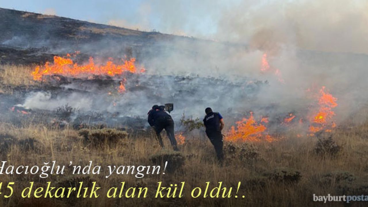 Hacıoğlu köyündeki yangın 45 dekarlık alanı kül etti!