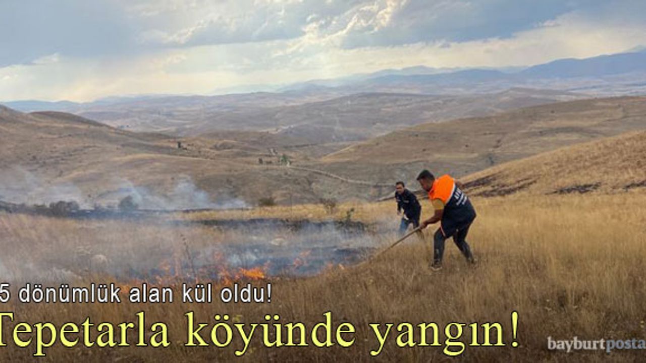 Tepetarla köyünde çıkan yangında 45 dönümlük alan kül oldu!