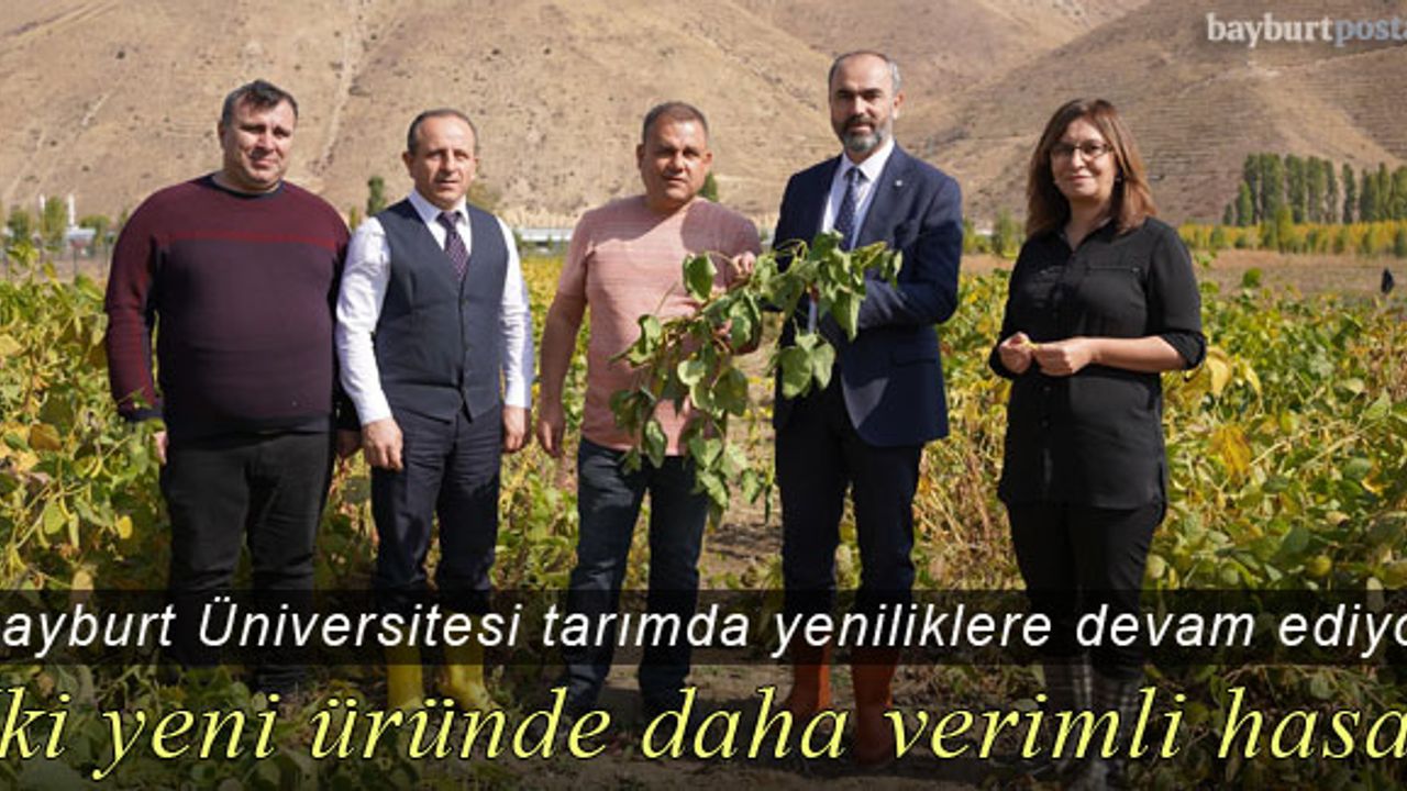 Bayburt'ta Soya Fasulyesi ve Yeni Tür Patateste Hasat Verimliliği