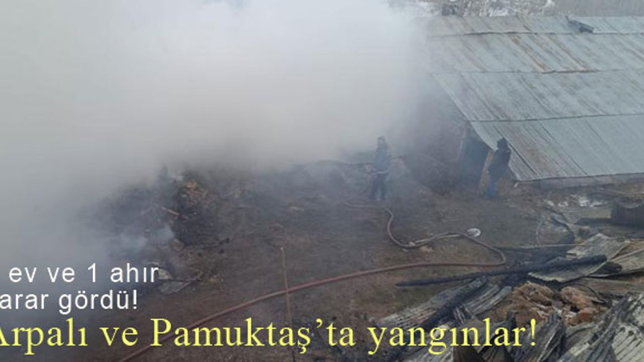 Arpalı ve Pamuktaş’ta korkutan yangınlar!