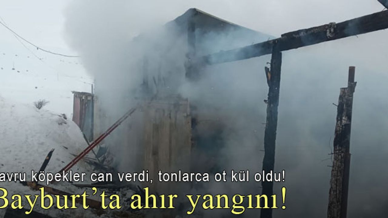 Bayburt'ta ahır yangını: Yavru köpekler can verdi, tonlarca ot kül oldu!