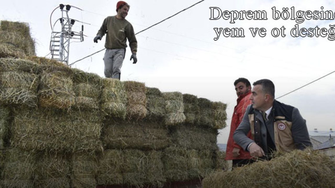 Bayburtlu çitçilerin deprem bölgesine yem ve ot desteği