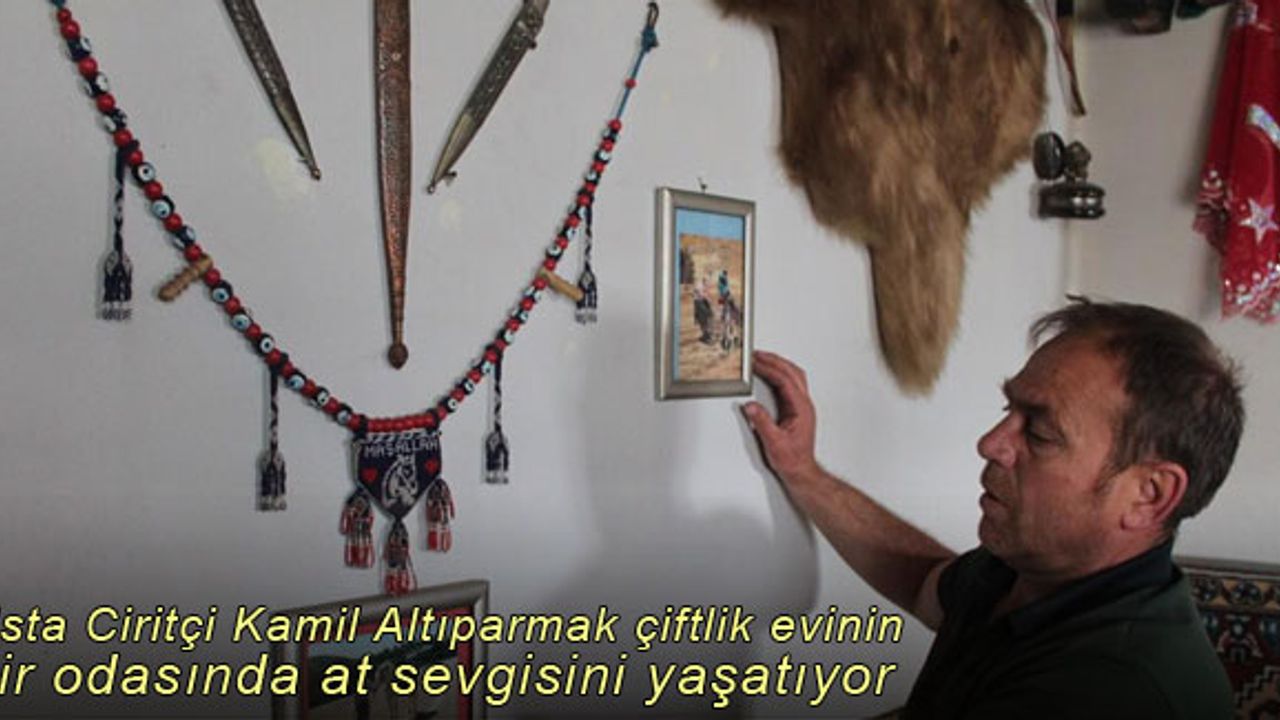 Usta Ciritçi Kamil Altıparmak, çiftlik evinin bir odasında at sevgisini yaşatıyor