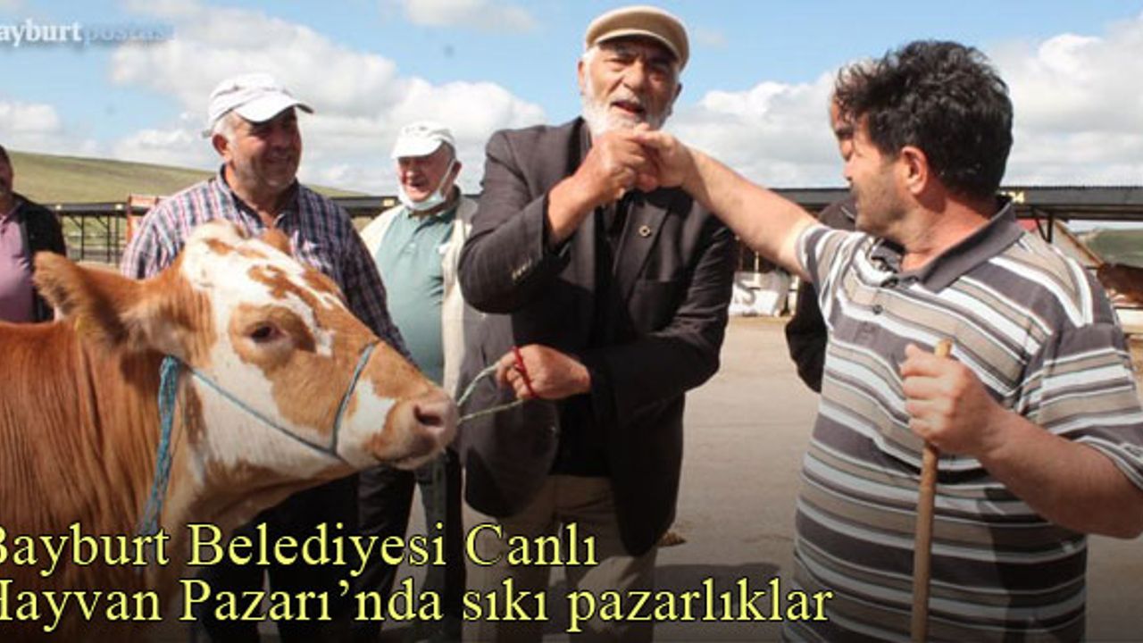Bayburt Belediyesi Canlı Hayvan Pazarı'nda sıkı pazarlıklar