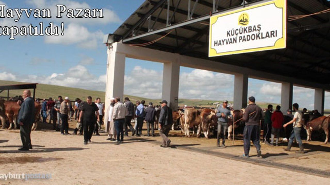 Bayburt'ta Canlı Hayvan Pazarı kapatıldı!