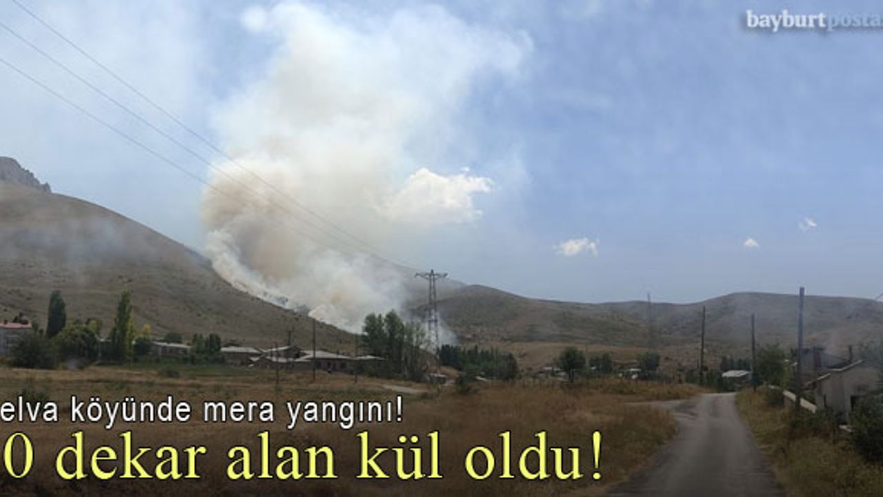 Bayburt'un Helva köyünde mera yangını!