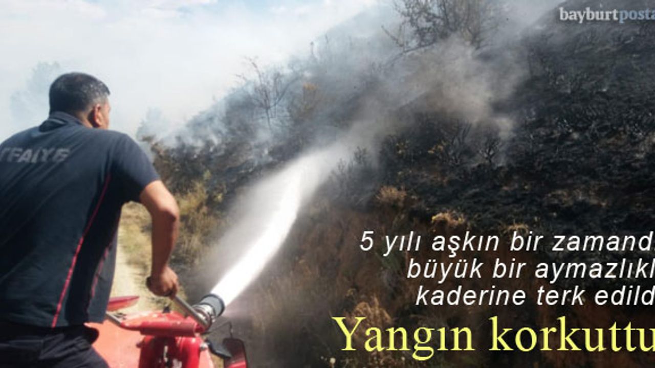 Kaderine terk edilen Aslan Dağı Piknik Alanı'nda yangın!