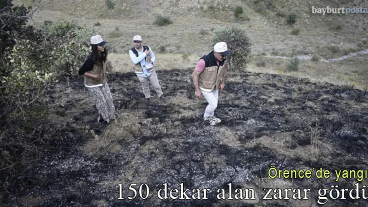 Örence'de yangın: 150 dekarlık alan zarar gördü!