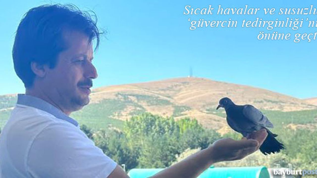Sıcak havalar ve susuzluk 'güvercin tedirginliği'nin önüne geçti!