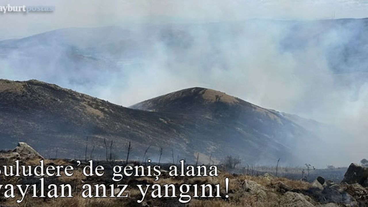 Suludere'de 60 hektar alanda anız yangını!