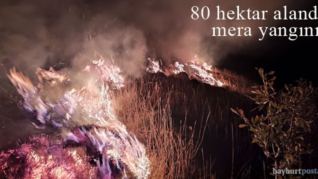 Bayburt'ta 80 hektar alanda mera yangını!