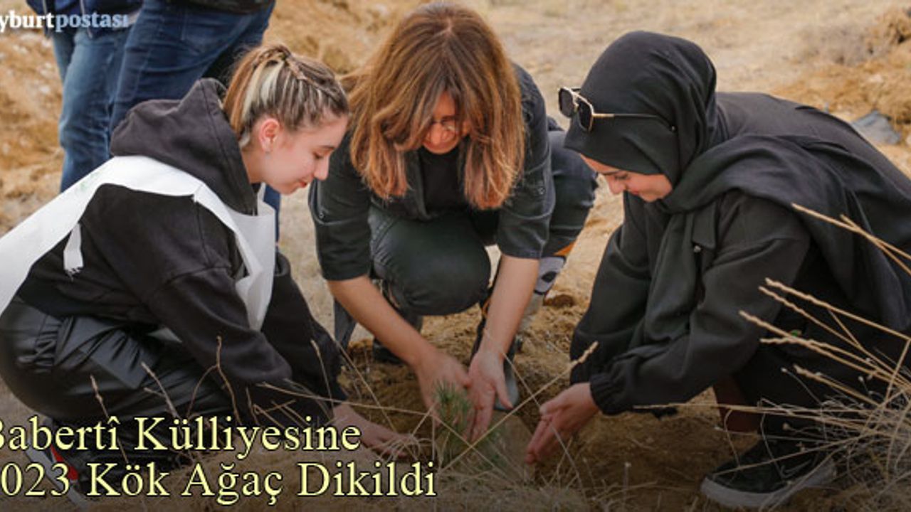 Babertî Külliyesine 2023 Kök Ağaç Dikildi