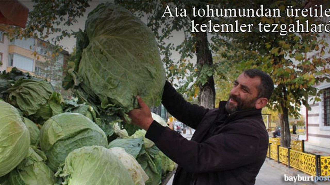 Bayburt'ta ata tohumundan üretilen kelemler tezgahlarda