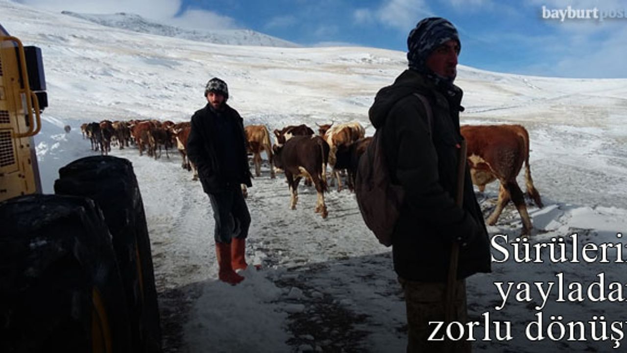 Yayladan zorlu dönüşe Bayburt Özel İdare ekipleri eşlik ediyor
