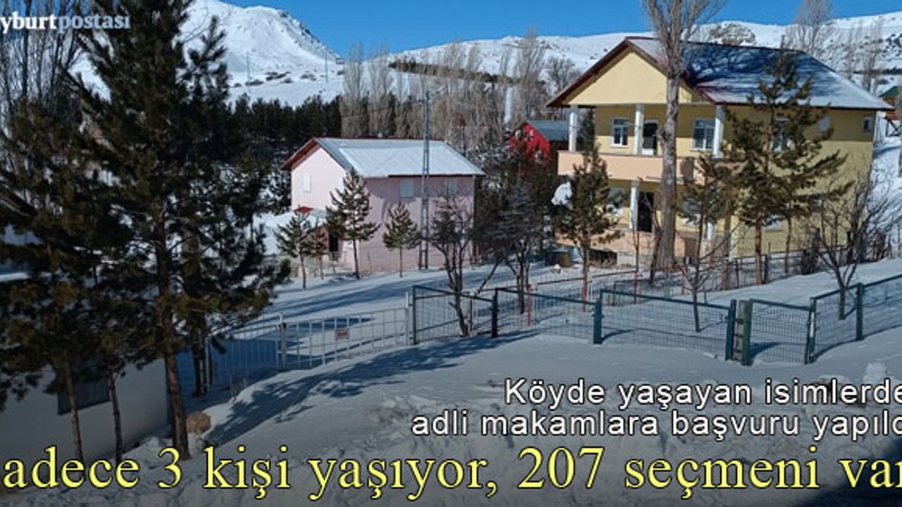 3 kişinin yaşadığı Yazlık köyünde 207 seçmen var!