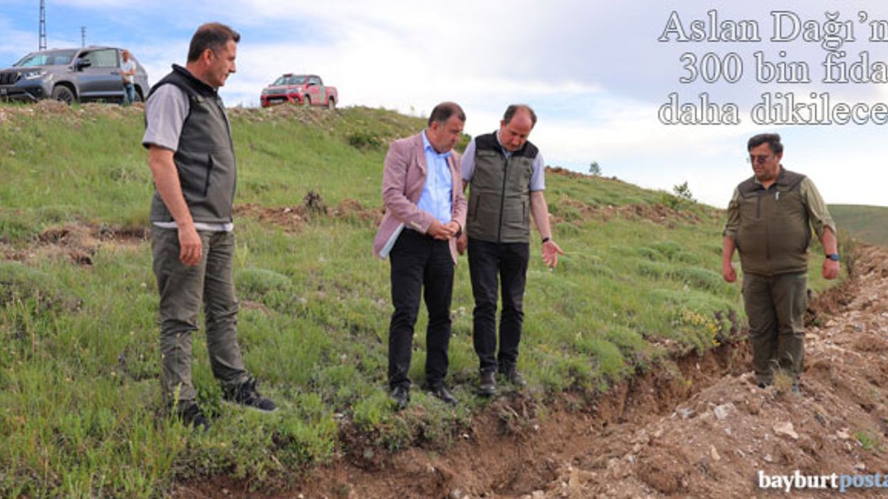 Aslan Dağı'na 300 bin fidan daha dikilecek