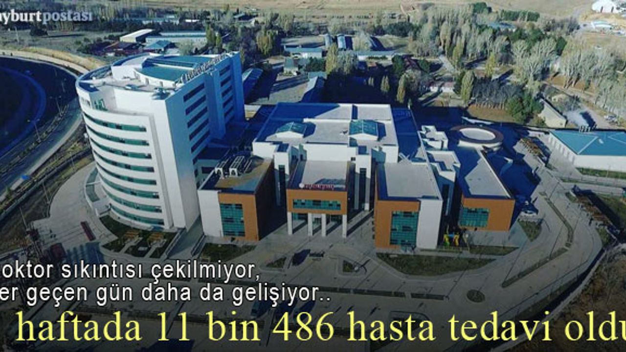 Bayburt'ta yaz ayları yoğunluğu: Bir haftada 11 bin 486 kişi tedavi oldu