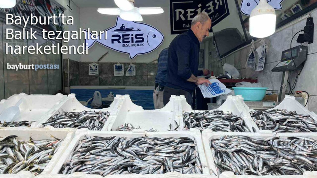 Bayburt'ta Balık Tezgahları Hareketlendi: Fiyatlar 100 ila 400 TL Arasında