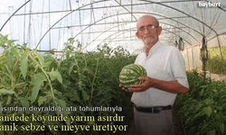 Aslandede köyünde yarım asırdır organik sebze üretiyor