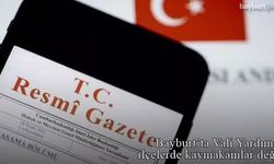 Bayburt'a Vali Yardımcısı ve ilçelere kaymakam atamaları