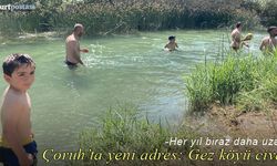Çoruh müdavimlerinin yeni adresi: Gez köyü civarı