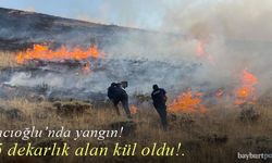 Hacıoğlu köyündeki yangın 45 dekarlık alanı kül etti!